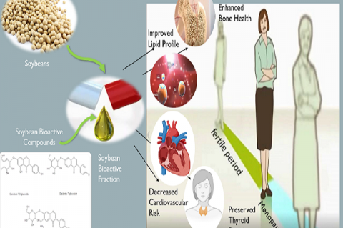 Effect of Soybean on Bone Health and Some Metabolic Parameters in Postmenopausal Egyptian Women