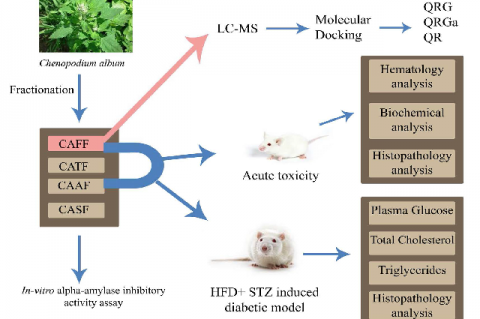 acute toxicity | Pharmacognosy Journal acute toxicity | Pharmacognosy Journal
