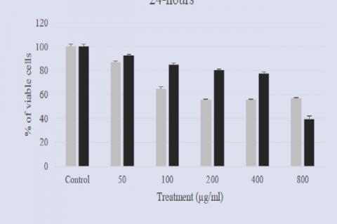 Cytotoxicity of ethanol and dichloromethane extracts of E. longifolia against nasopharyngeal carcinoma (ORL-115) cell lines at 24-hours incubation period