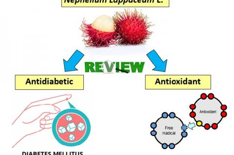 Graphical Abstract