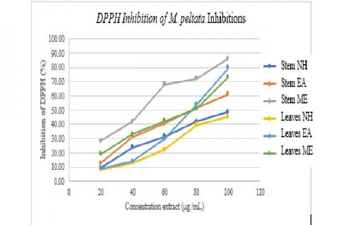 DPPH percent inhibitions of stem and leaves M. peltate