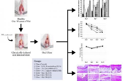 Graphical Abstract