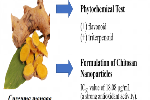 Graphical Abstract