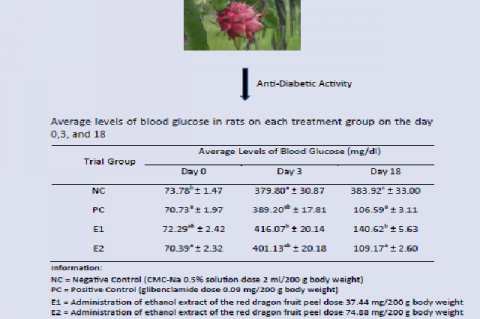 Graphical Abstract