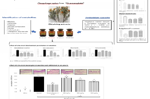 Graphical Abstract