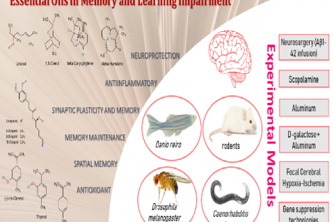 Graphical Abstract