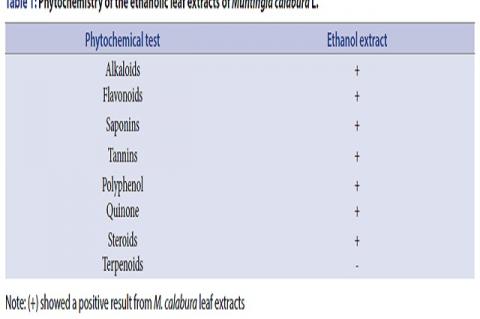 Phytochemistry of the ethanolic leaf extracts of Muntingia calabura L.