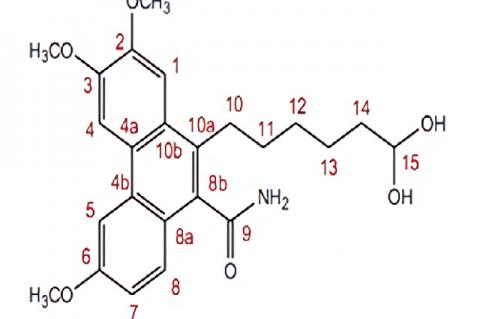 Tentative structure of BVI039.