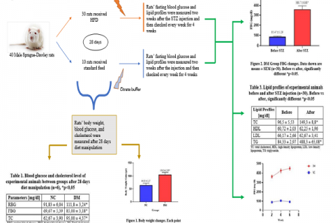 Alterations in Body Weight, Blood Glucose Levels, and Lipid Profiles in High-Fat Diet-Low Dose Streptozotocin-Induced Diabetic Rats