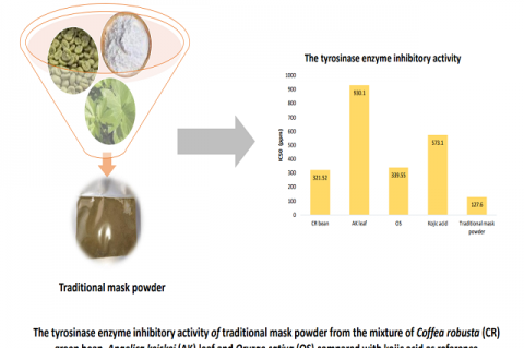 Formulation of Traditional Mask Powder Containing the Mixture of Coffea robusta, Angelica keiskei and Oryzae sativa, and its Activity as Tyrosinase Enzyme Inhibitor