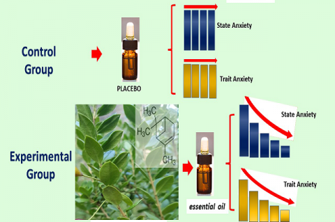 Anxiolytic-like Effect of Luma chequen Essential Oil: A Pilot Study