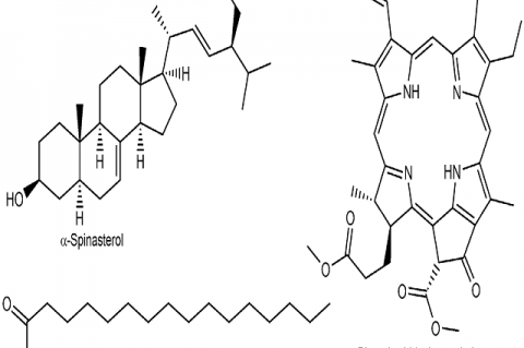 Chemical structures of isolated compounds.