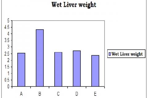 Effect of MECD on rat body weights in paracetamol induced hepatotoxic rats.