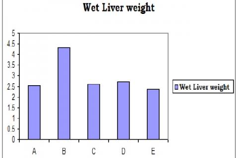 Effect of MECD on rat body weights in paracetamol induced hepatotoxic rats.