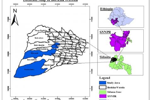 Map of Boricha woreda.