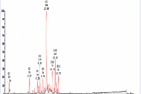 Positive mode UPLC-ESI-MS/MS chromatogram of ethyl acetate fraction of S. hispanica L. aerial parts.