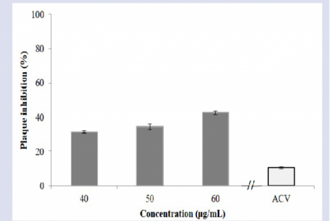 The effect of PMFPAE and acyclovir (ACV, 4.5 μg/mL) pre-treatment to cells and ability of HHV-1 clinical strain to