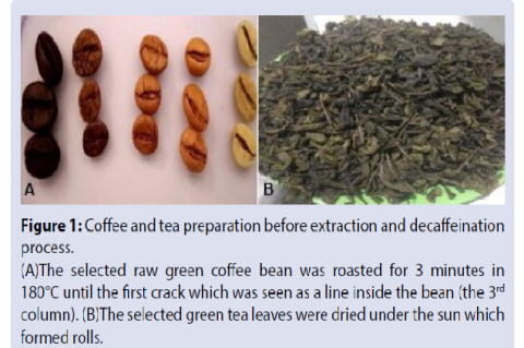 Coffee and tea preparation before extraction and decaffeination process.
