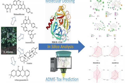 Graphical Abstract