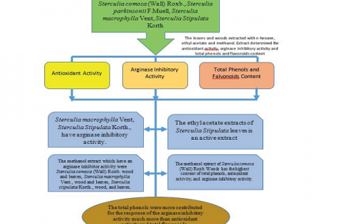 Graphical Abstract 