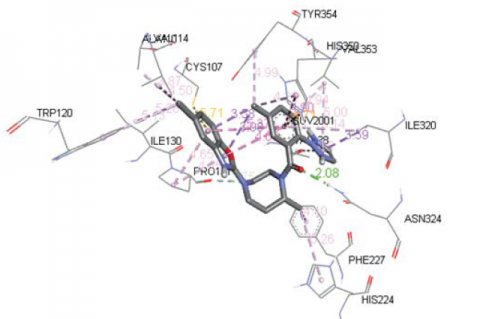 Interaction of suvorexant with amino acid residues.