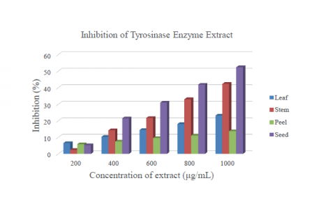 Inhibition of tyrosinase enzyme of P.ligularis extracts