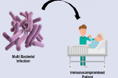 Graphical Abstract 