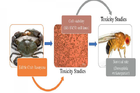 Graphical Abstract 