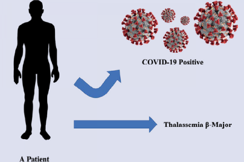 Graphical Abstract 