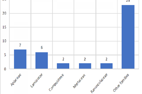 Frequency of botanical families.