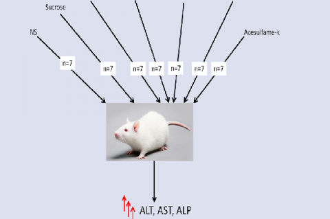 Graphical Abstract