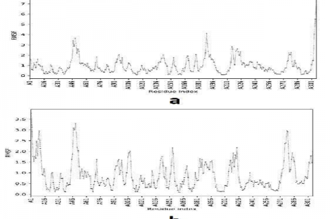 Visualization of molecular dynamic simulation results. (A) RMSF of Mpro-Apigenin, (B) RMSF of Mpro-Quercetin.