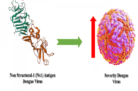 Graphical Abstract 