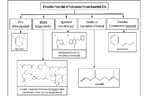 Graphical Abstract 