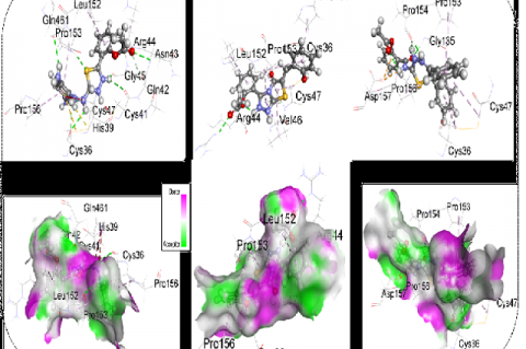 Non-bonding interactions and hydrogen bond surface of selected compounds with (a) 6Y3C and (b) 5F19.