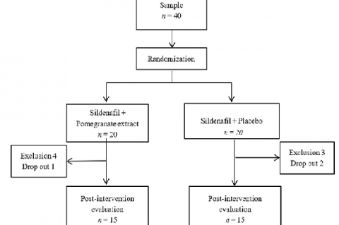 Research flowchart.