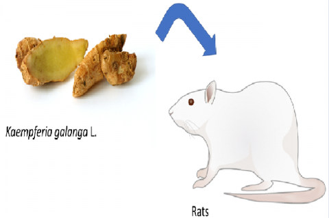 Graphical Abstract 