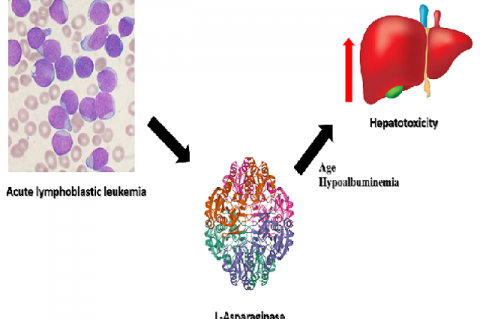 Graphical Abstract 