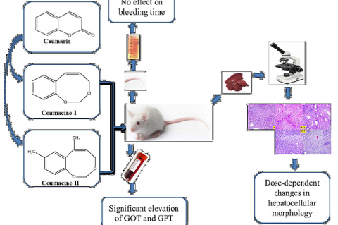 Graphical  Abstract  