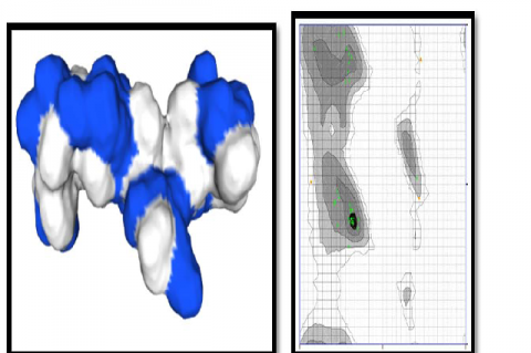 Analysis of the three-dimensional structure of the Apis Cerana Royal Jelly bee protein number 6 and the Ramachandran plot.
