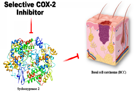 Graphical  Abstract  