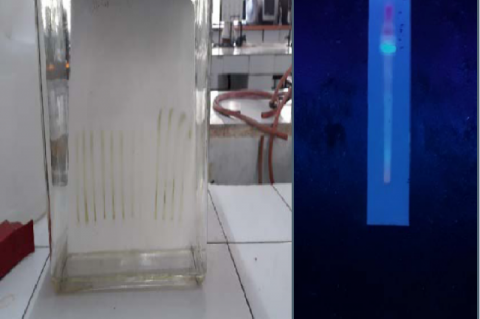 Preparative TLC and the spot observed at UV chamber at longer wavelength