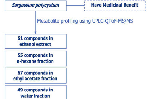 Graphical  Abstract  