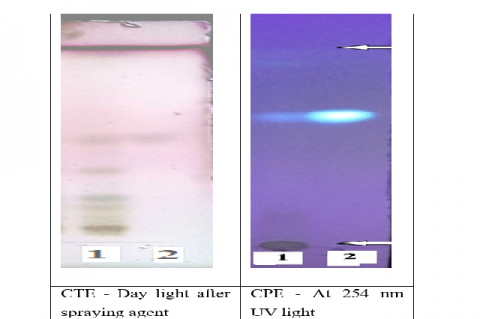 TLC analysis of CPE and CTE extracts showing the spots of taraxerol and Scopoletin