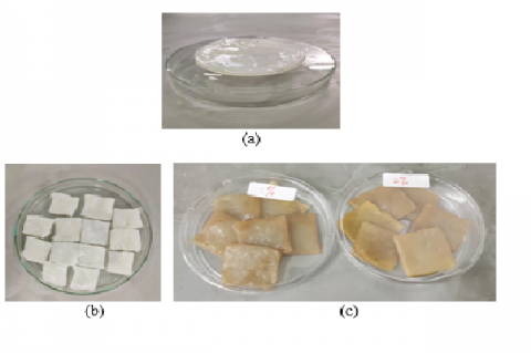 Patch fabrication from bacterial cellulose (a) Bacterial cellulose pellicle: white and almost thin, (b) Patch from BC, (c) Patch with mangosteen peel extract that brownish changed color