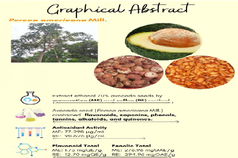 Graphical  Abstract  