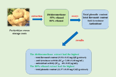 Graphical Abstract