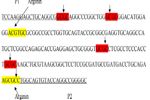 The sequence of the gene APOE allele ε414