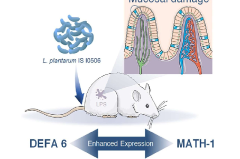 Graphical Abstract