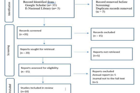 The flow chart of the literature search strategy and the review process follows the prism flowchart rules.